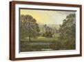 Brown Frame