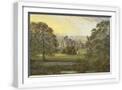 White Frame