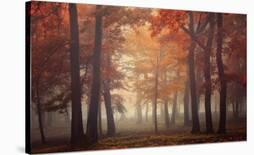 Painting Forest-Ildiko Neer-Photographic Print