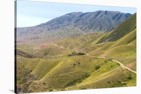 Ile-Alatau National Park, Assy Plateau, Almaty, Kazakhstan, Central Asia, Asia-G&M Therin-Weise-Stretched Canvas