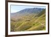 Ile-Alatau National Park, Assy Plateau, Almaty, Kazakhstan, Central Asia, Asia-G&M Therin-Weise-Framed Photographic Print