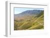 Ile-Alatau National Park, Assy Plateau, Almaty, Kazakhstan, Central Asia, Asia-G&M Therin-Weise-Framed Photographic Print