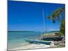 Ile Des Pins, New Caledonia, Melanesia, South Pacific, Pacific-Michael Runkel-Mounted Photographic Print