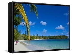 Ile Des Pins, New Caledonia, Melanesia, South Pacific, Pacific-Michael Runkel-Framed Stretched Canvas