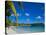 Ile Des Pins, New Caledonia, Melanesia, South Pacific, Pacific-Michael Runkel-Stretched Canvas