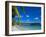 Ile Des Pins, New Caledonia, Melanesia, South Pacific, Pacific-Michael Runkel-Framed Photographic Print