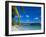 Ile Des Pins, New Caledonia, Melanesia, South Pacific, Pacific-Michael Runkel-Framed Photographic Print