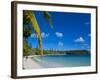 Ile Des Pins, New Caledonia, Melanesia, South Pacific, Pacific-Michael Runkel-Framed Photographic Print