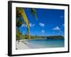 Ile Des Pins, New Caledonia, Melanesia, South Pacific, Pacific-Michael Runkel-Framed Photographic Print