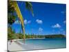 Ile Des Pins, New Caledonia, Melanesia, South Pacific, Pacific-Michael Runkel-Mounted Photographic Print