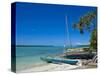 Ile Des Pins, New Caledonia, Melanesia, South Pacific, Pacific-Michael Runkel-Stretched Canvas