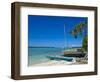 Ile Des Pins, New Caledonia, Melanesia, South Pacific, Pacific-Michael Runkel-Framed Photographic Print