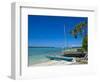 Ile Des Pins, New Caledonia, Melanesia, South Pacific, Pacific-Michael Runkel-Framed Photographic Print