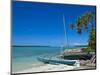 Ile Des Pins, New Caledonia, Melanesia, South Pacific, Pacific-Michael Runkel-Mounted Photographic Print