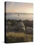 Ile Grande, Cote De Granit Rose, Cotes d'Armor, Brittany, France-David Hughes-Stretched Canvas