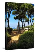 Ile Sainte Marguerite - Cannes - France-Philippe Hugonnard-Stretched Canvas