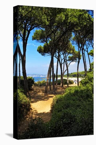 Ile Sainte Marguerite - Cannes - France-Philippe Hugonnard-Stretched Canvas