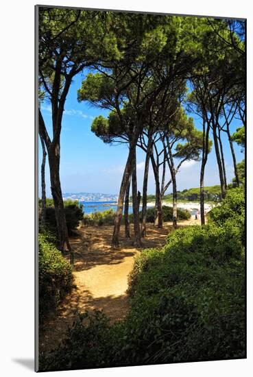 Ile Sainte Marguerite - Cannes - France-Philippe Hugonnard-Mounted Photographic Print