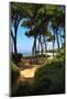 Ile Sainte Marguerite - Cannes - France-Philippe Hugonnard-Mounted Photographic Print