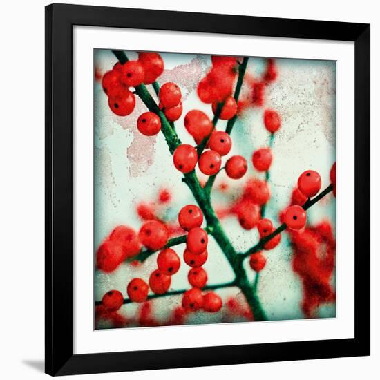 Ilex I-James Guilliam-Framed Giclee Print