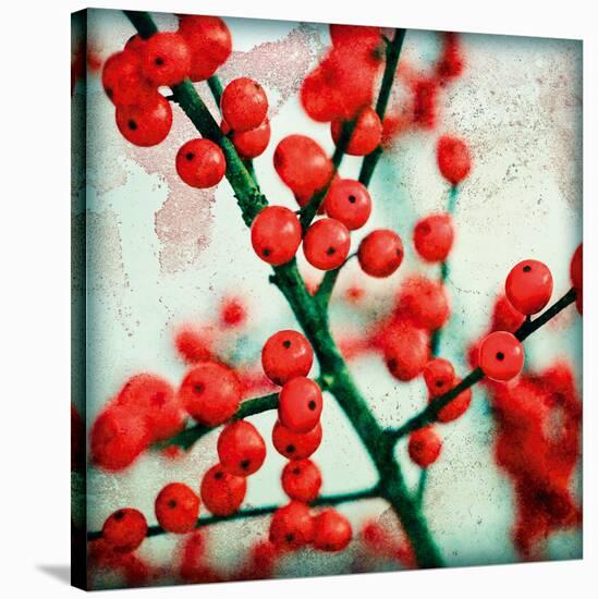 Ilex I-James Guilliam-Stretched Canvas