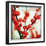 Ilex II-James Guilliam-Framed Giclee Print