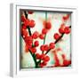 Ilex II-James Guilliam-Framed Giclee Print