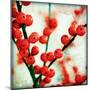 Ilex II-James Guilliam-Mounted Giclee Print