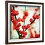 Ilex II-James Guilliam-Framed Giclee Print