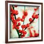 Ilex II-James Guilliam-Framed Giclee Print