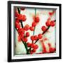 Ilex II-James Guilliam-Framed Giclee Print