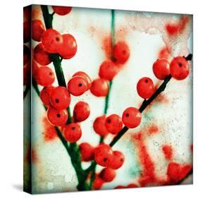 Ilex II-James Guilliam-Stretched Canvas