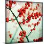 Ilex III-James Guilliam-Mounted Giclee Print