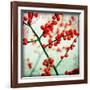 Ilex III-James Guilliam-Framed Giclee Print