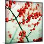 Ilex III-James Guilliam-Mounted Giclee Print