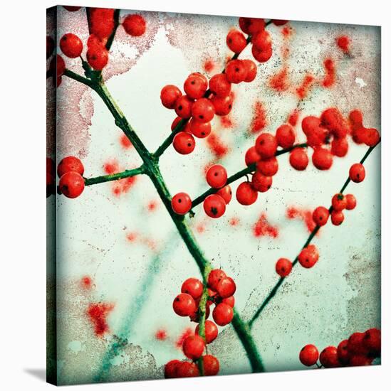 Ilex III-James Guilliam-Stretched Canvas