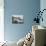 Ilfracombe-null-Photographic Print displayed on a wall