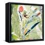 Ilhabela-Cynthia MacCollum-Framed Stretched Canvas