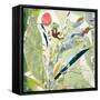 Ilhabela-Cynthia MacCollum-Framed Stretched Canvas