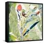 Ilhabela-Cynthia MacCollum-Framed Stretched Canvas