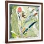 Ilhabela-Cynthia MacCollum-Framed Art Print