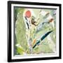 Ilhabela-Cynthia MacCollum-Framed Art Print