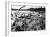 Iliamna, Alaska - View of a Reindeer Herd-Lantern Press-Framed Art Print