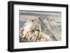 Iliamna Volcano Rising Up in Aleutian Mountain Range of Alaska-Sheila Haddad-Framed Photographic Print