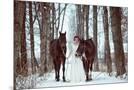 Wood Mount