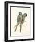 Illiger's Macaw, 1987-Mary Clare Critchley-Salmonson-Framed Giclee Print