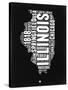 Illinois Black and White Map-NaxArt-Stretched Canvas