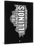 Illinois Black and White Map-NaxArt-Stretched Canvas