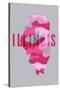 Illinois - Camo State - Pink with Background-Lantern Press-Stretched Canvas