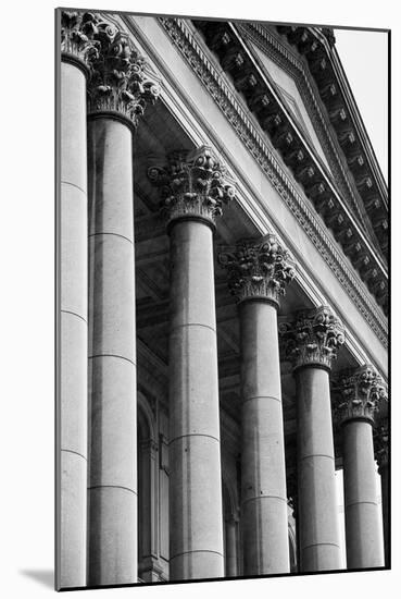 Illinois Capitol Columns BW-Steve Gadomski-Mounted Photographic Print